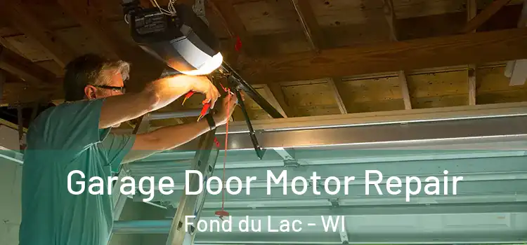  Garage Door Motor Repair Fond du Lac - WI