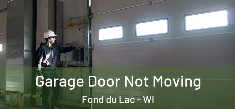  Garage Door Not Moving Fond du Lac - WI