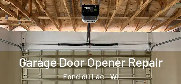  Garage Door Opener Repair Fond du Lac - WI