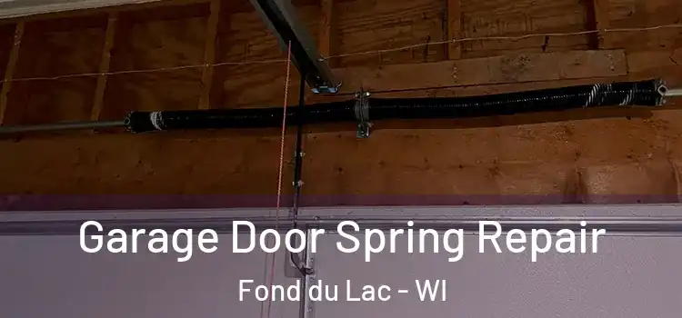  Garage Door Spring Repair Fond du Lac - WI