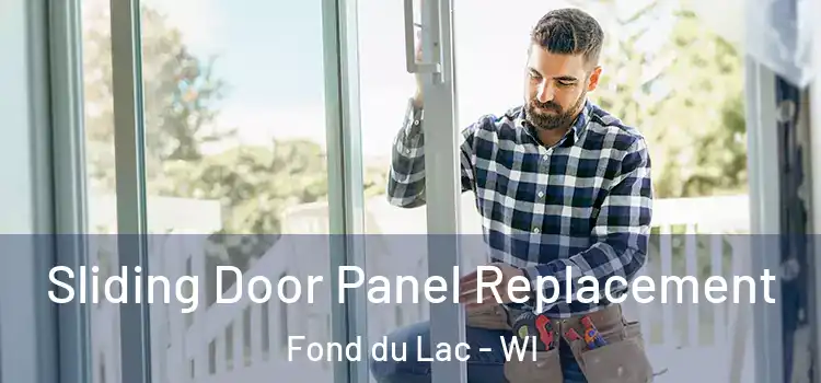  Sliding Door Panel Replacement Fond du Lac - WI